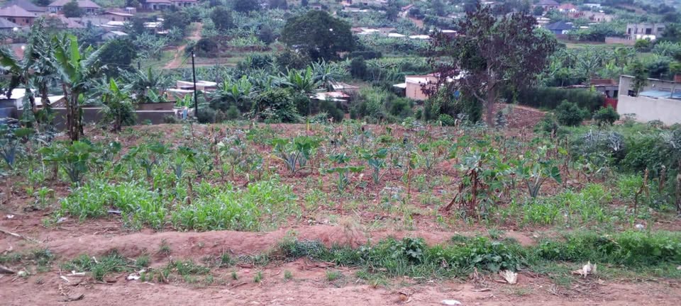 Residential Plot for sale near the road and good neighbors.