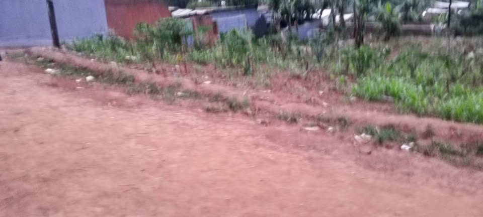 Residential Plot for sale near the road and good neighbors.
