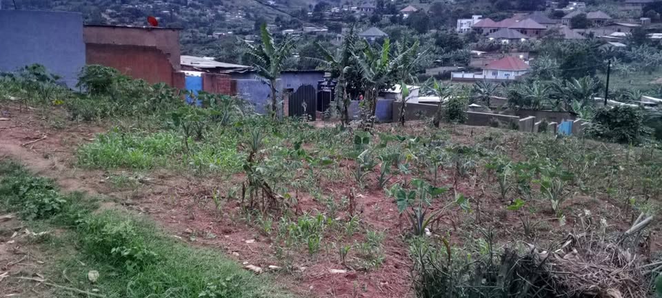 Residential Plot for sale near the road and good neighbors.