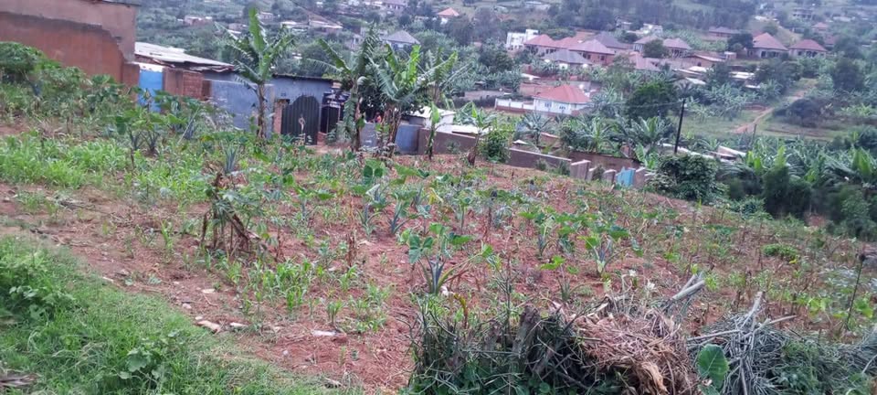Residential Plot for sale near the road and good neighbors.