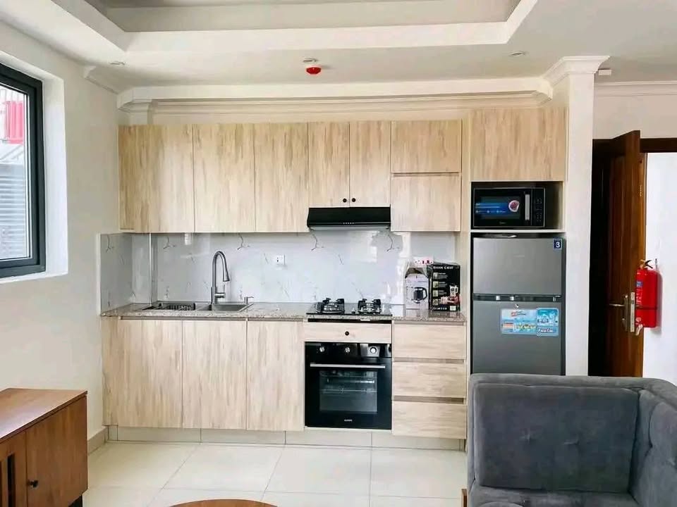 beautiful fully furnished apartments for rent