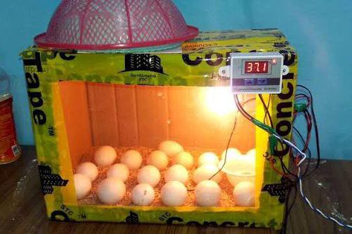 Imashini irarira amagi (incubator)