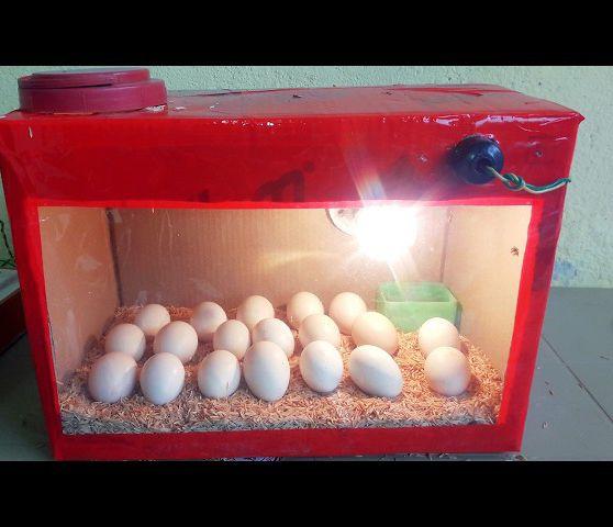 Imashini irarira amagi (incubator)