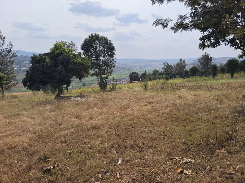 2 HECTARES OF LAND FOR SALE IN KANOMBE