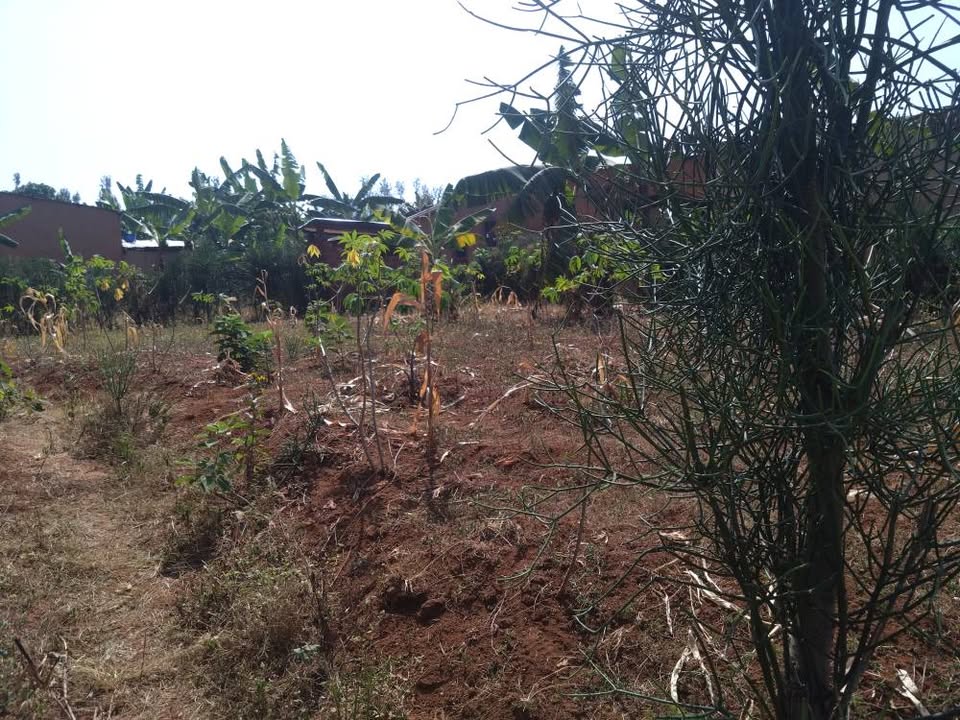 Plot for sale kayumbo nyamata