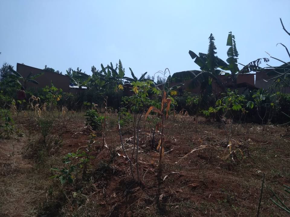 Plot for sale kayumbo nyamata