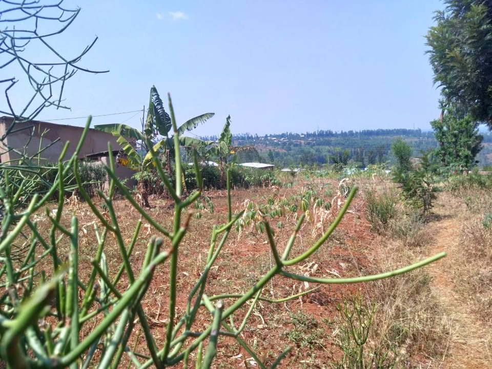 Plot for sale kayumbo nyamata