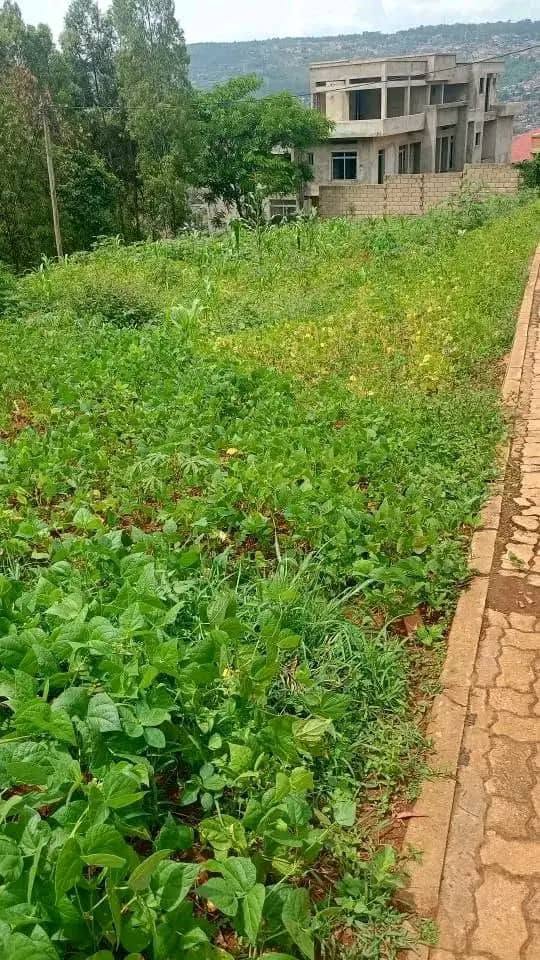 Residential plot for sale 𝚒𝚗 𝚝𝚛𝚊𝚖𝚊𝚌  road