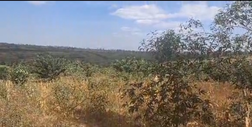 Bugesera-Mayange, 27377sqm( 2,73ha) Agricultural Plot for Sale