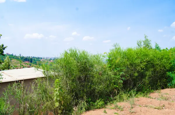 IKIBANZA KIGURISHWA MAGERAGERE