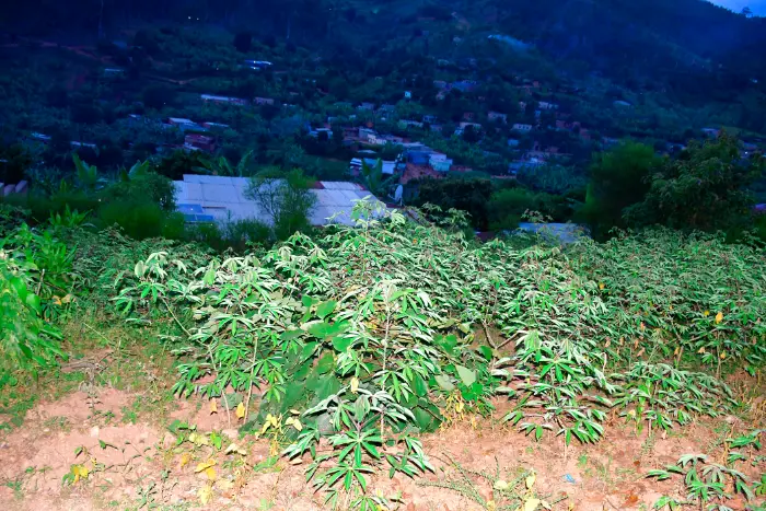 LAND FOR SALE AT BUMBOGO