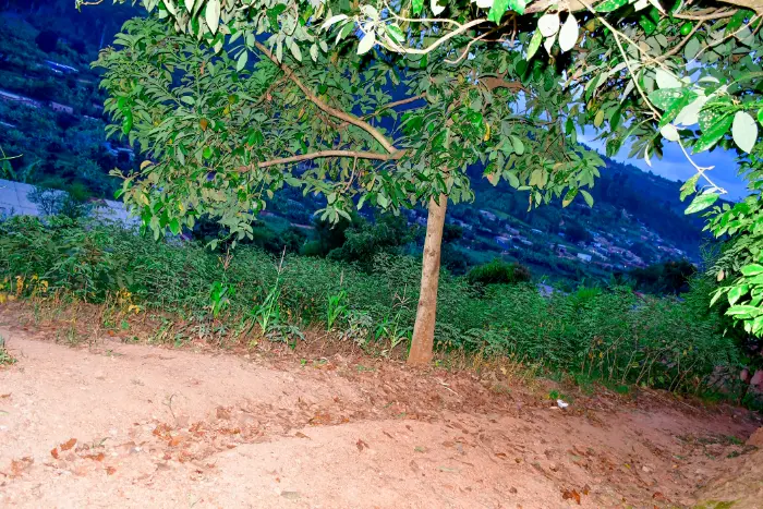 LAND FOR SALE AT BUMBOGO