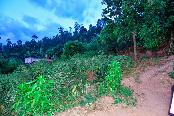 LAND FOR SALE AT BUMBOGO