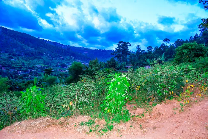 LAND FOR SALE AT BUMBOGO