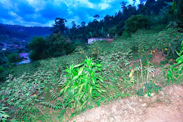 LAND FOR SALE AT BUMBOGO