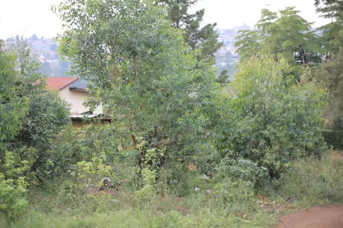 LAND FOR SALE AT BUSANZA