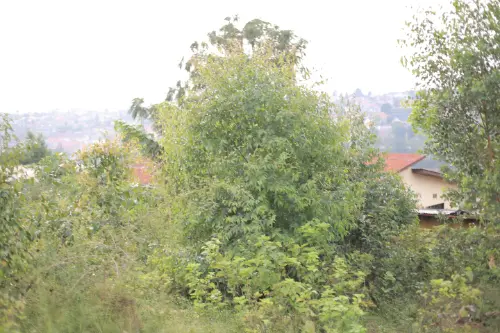 LAND FOR SALE AT BUSANZA