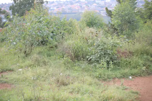 LAND FOR SALE AT BUSANZA