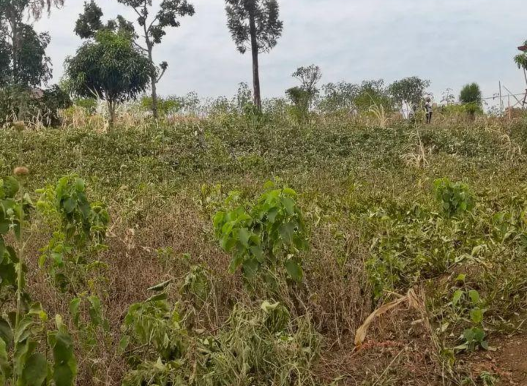 Plot for sell in Nyarugenge