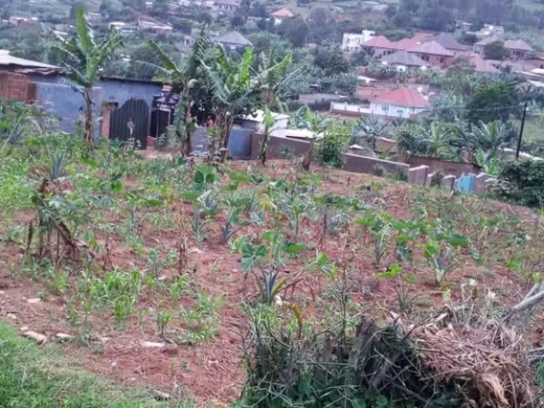 Residential Plot for sale near the road and good neighbors.
