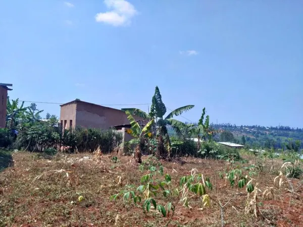 Plot for sale kayumbo nyamata