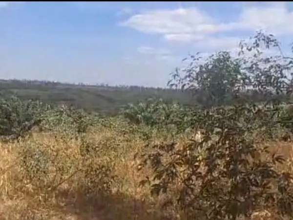 Bugesera-Mayange, 27377sqm( 2,73ha) Agricultural Plot for Sale
