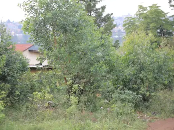 LAND FOR SALE AT BUSANZA